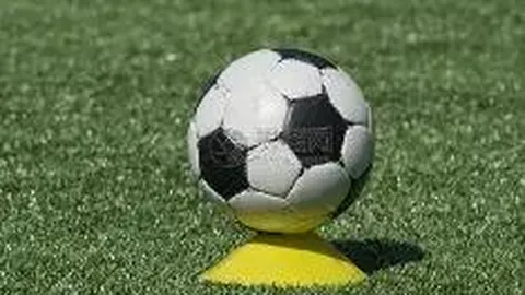 中国体坛老将全运会共谱谢幕篇章